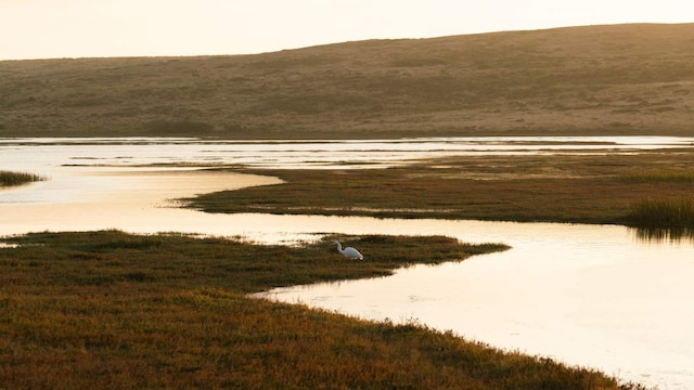 First dedicated Wetland Conservation and Management Centre under MoEFCC set up in Chennai