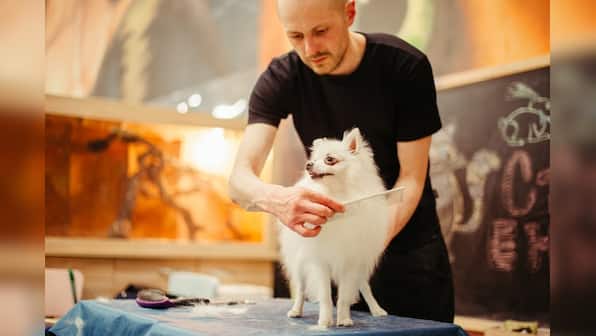 Best grooming kits for pets