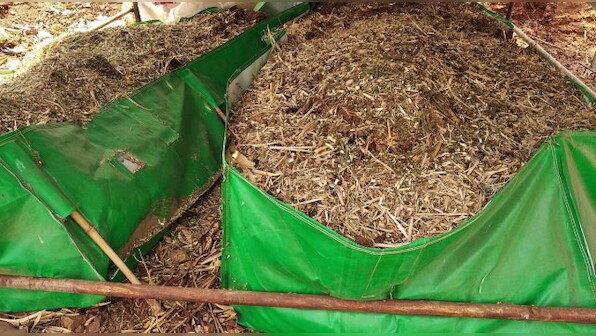 Need for dedicated technology to lack of market support: Why novel ideas like turning a city’s waste to manure fail