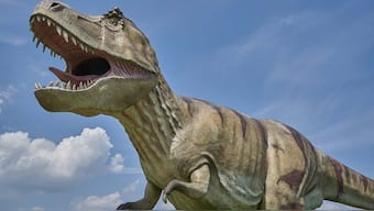 Earth was home to billions of T-rex over lakhs of generations, suggests new study