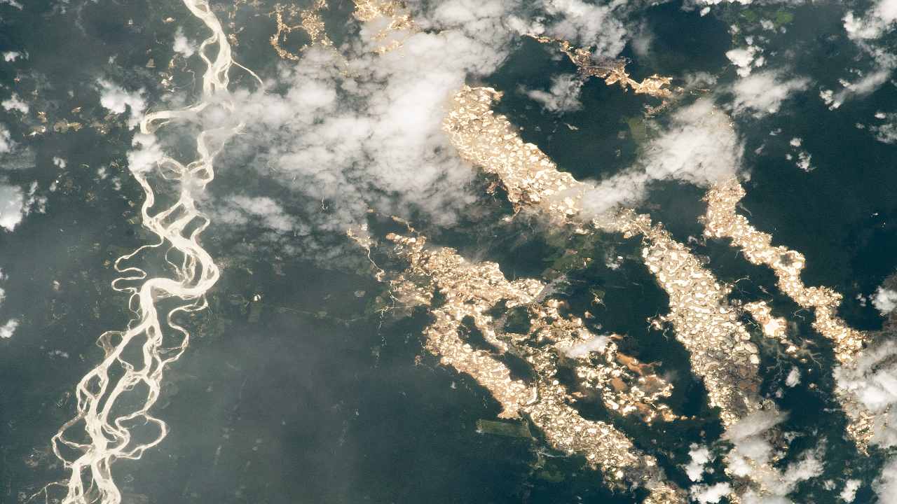Gold mining pits line the rivers and cut into the rainforest. Image credit: NASA