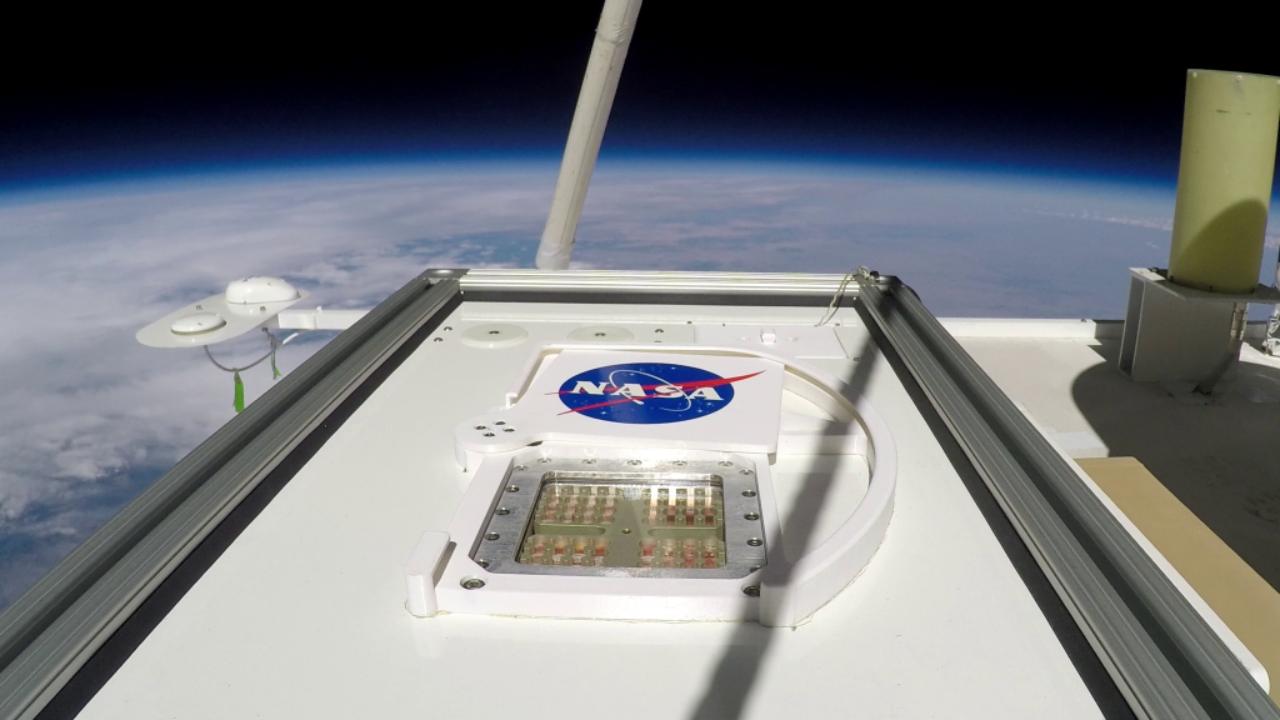 The Microbes in Atmosphere for Radiation, Survival and Biological Outcomes Experiment, or MARSBOx, in flight in September 2019. Its doors are rotated open, exposing samples of nine different types of microorganisms to the extreme environmental conditions of the stratosphere. Image: NASA