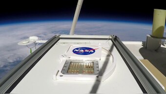 Terrestrial microbes could survive briefly on Mars, be a food source for astronauts: Study