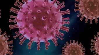 Double mutant SARS-CoV-2 virus found in over 60 percent of samples in Maharashtra survey