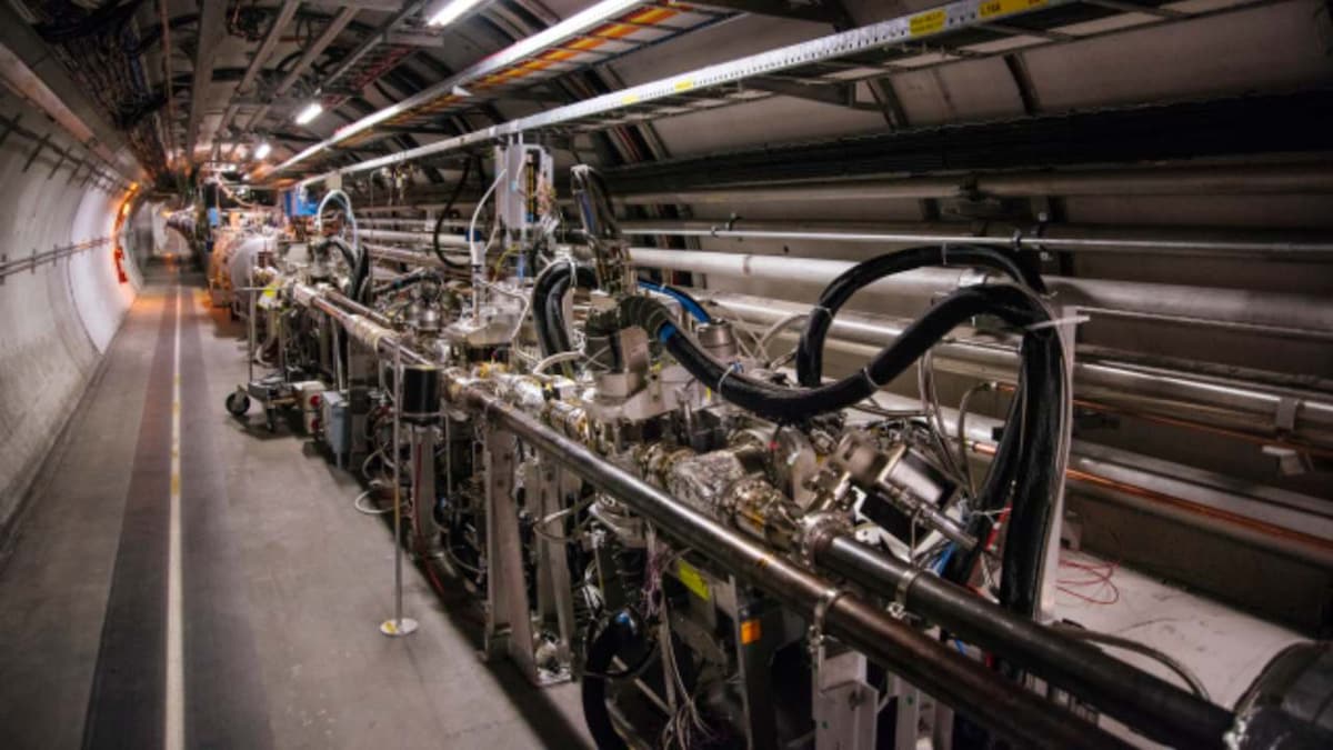 Force of nature: Scientists discover 'brand new' type of particle at CERN