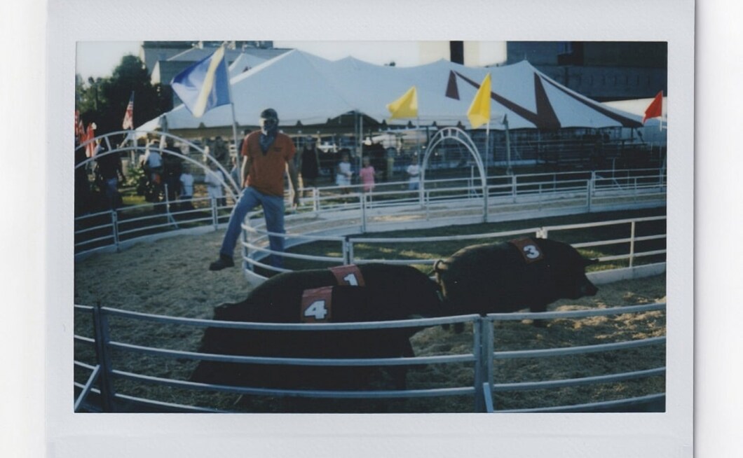 The Instax photos — tangible, color-saturated art-on-the-spot — capture slices of American life and the American landscape. Above, children watch a pig race at the annual Mississippi State Fair. Image via AP/Wong Maye-E