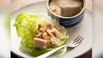 Prepare delicious dishes with these top canned Tuna options