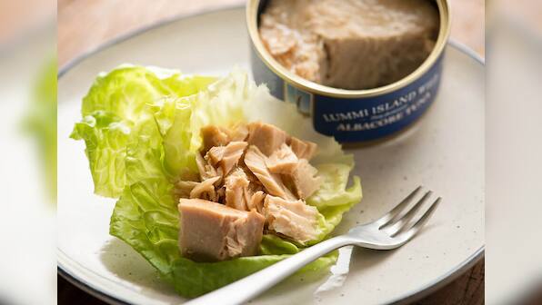 Prepare delicious dishes with these top canned Tuna options