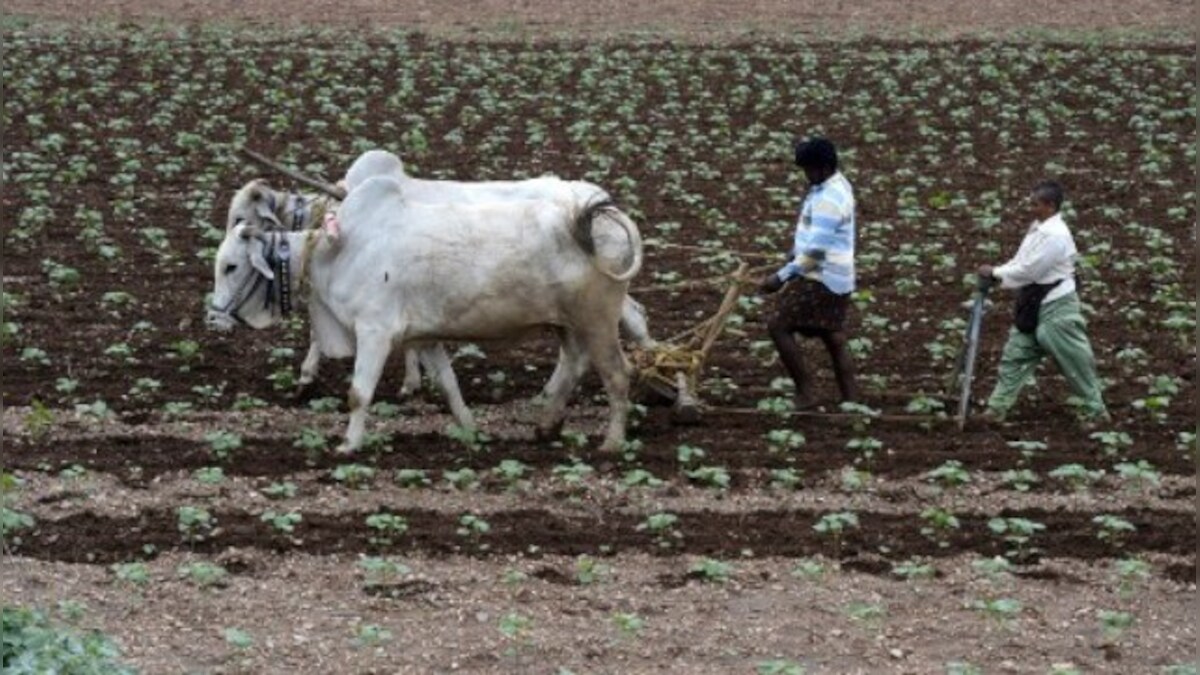 Pakistan takes U-turn on resuming trade with India, rejects proposal to import cotton, sugar from New Delhi