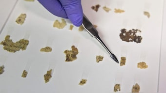 Dozens of Dead Sea scroll fragments from 1,900 years ago found in deserted Israeli cave