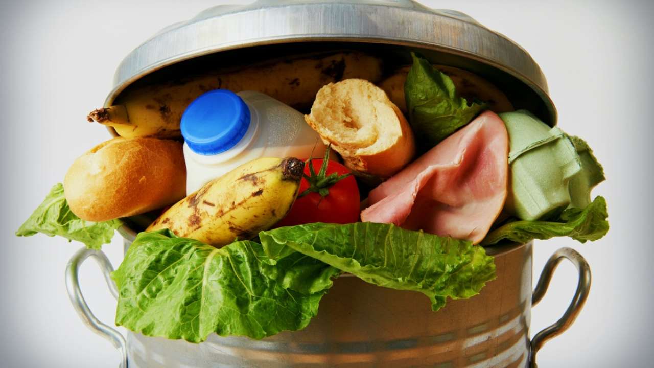 A fifth of all food produced in 2019 was wasted, better data needed to tackle food waste: UN report A fifth of all food produced in 2019 was wasted, better data needed to tackle food waste: UN report