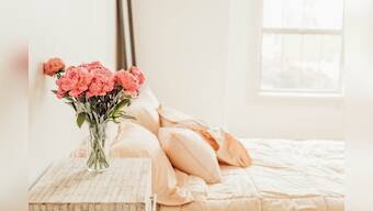 Portable and personal air purifier for better air quality around you