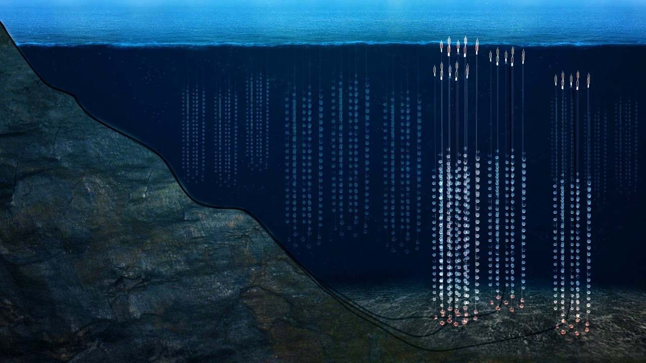 Garlands of individual neutrino detectors that make up the Baikal observatory. Image Credit: Dzhelepov Laboratory of Nuclear Problems