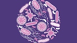 Changes in gut microbiome could predict healthy ageing and longevity, new study claims