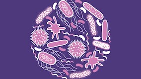 Changes in gut microbiome could predict healthy ageing and longevity, new study claims