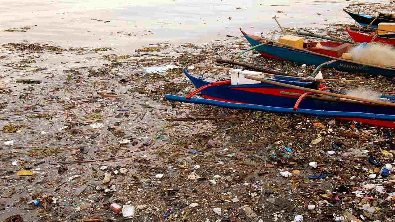 Pasig River in Manila, Philippines was so polluted in 1990 that ecologists declared it "biologically dead". However, clean-up efforts are showing some results as some stretches of the river are showing signs of marine life. Image credit: Manila Bay/Wikipedia