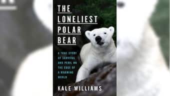 The Loneliest Polar Bear review: Kale Williams' book charts the history of global warming through a bear's story