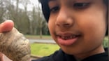 Six-year-old stumbles on coral fossil from million of years ago in England garden