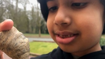 Six-year-old stumbles on coral fossil from million of years ago in England garden