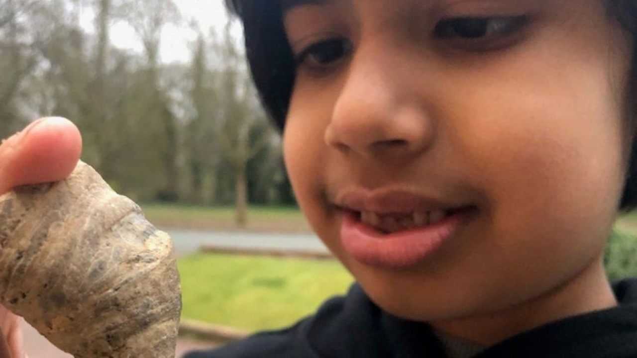 Six-year-old stumbles on coral fossil from million of years ago in England garden Six-year-old stumbles on coral fossil from million of years ago in England garden