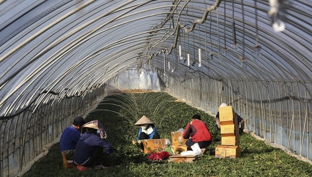 In South Korea, Asian migrant workers face exploitation at work, in absence of labour law protection In South Korea, Asian migrant workers face exploitation at work, in absence of labour law protection