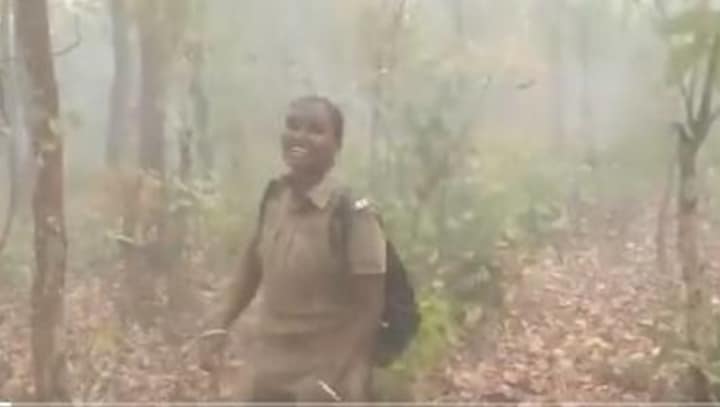 Similipal National Park forest guard dances in joy as rains help tackle raging fire