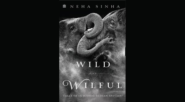 Wild and Wilful