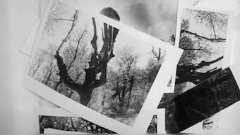 A return to analogue: How darkrooms lent mindful escape to photographers during the pandemic