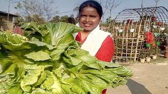 Assam Assembly Election 2021: Eyeing agripreneurship to secure future, youths seek govt backing for budding sector