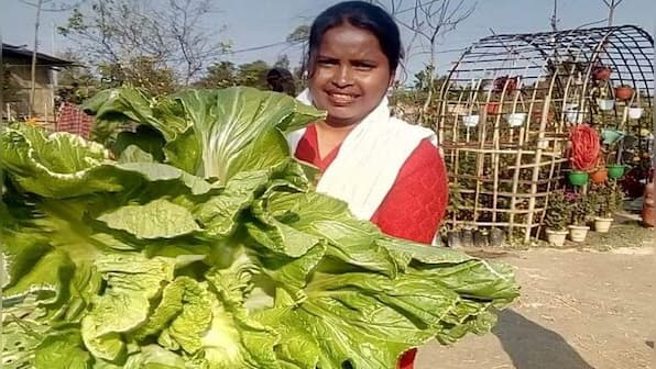 Assam Assembly Election 2021: Eyeing agripreneurship to secure future, youths seek govt backing for budding sector