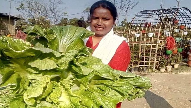 Assam Assembly Election 2021: Eyeing agripreneurship to secure future, youths seek govt backing for budding sector Assam Assembly Election 2021: Eyeing agripreneurship to secure future, youths seek govt backing for budding sector