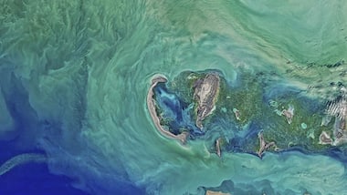 World Water Day: 10 pictures illustrating the most polluted waters around the world