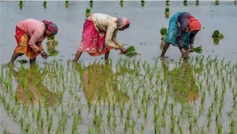 How DBT prevented arhatiyas from economically exploiting farmers and streamlined procurement of produce