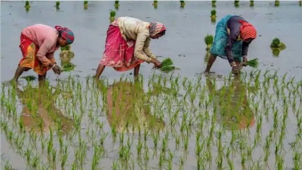 How DBT prevented arhatiyas from economically exploiting farmers and streamlined procurement of produce