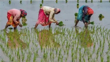 How DBT prevented arhatiyas from economically exploiting farmers and streamlined procurement of produce