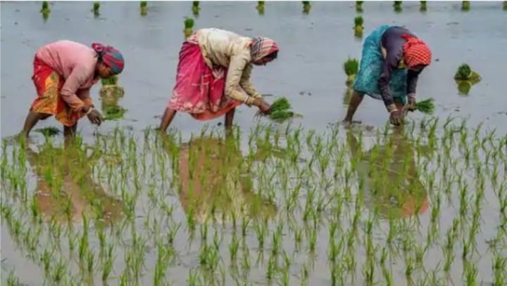 How DBT prevented arhatiyas from economically exploiting farmers and streamlined procurement of produce