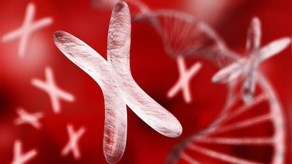 How the gender divide in medicine and clinical research is adversely impacting women's health