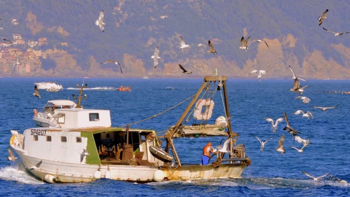 Fishing boats that dredge their nets release carbon equivalent to aviation