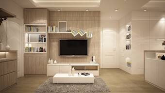 Dust in your home can include viruses, dust mite faeces, mould spores, more: Dyson Global Dust Study