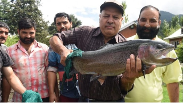 Trout farming opens new doors to businesses and tourism in Jammu and Kashmir; emerges as important source of income Trout farming opens new doors to businesses and tourism in Jammu and Kashmir; emerges as important source of income