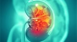 Monsoon and kidney health: Why people with renal issues are vulnerable during rainy season