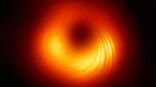 Astronomers capture image of the magnetic field around M87's black hole
