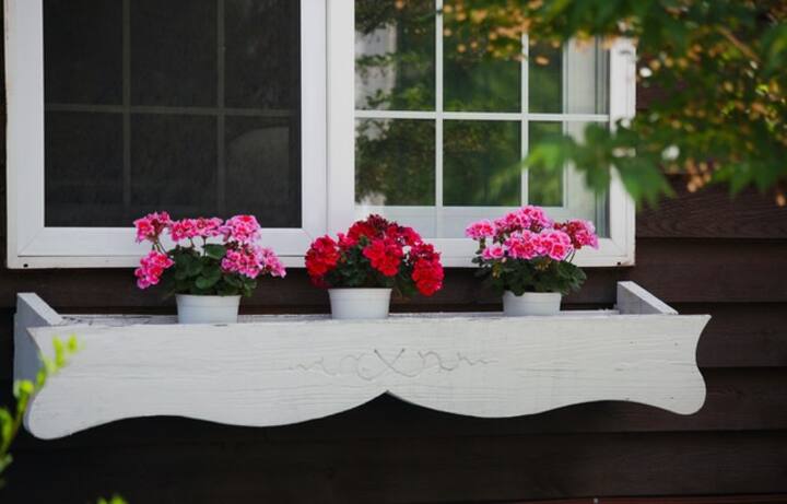 Beautify your balcony gardens with these top planters