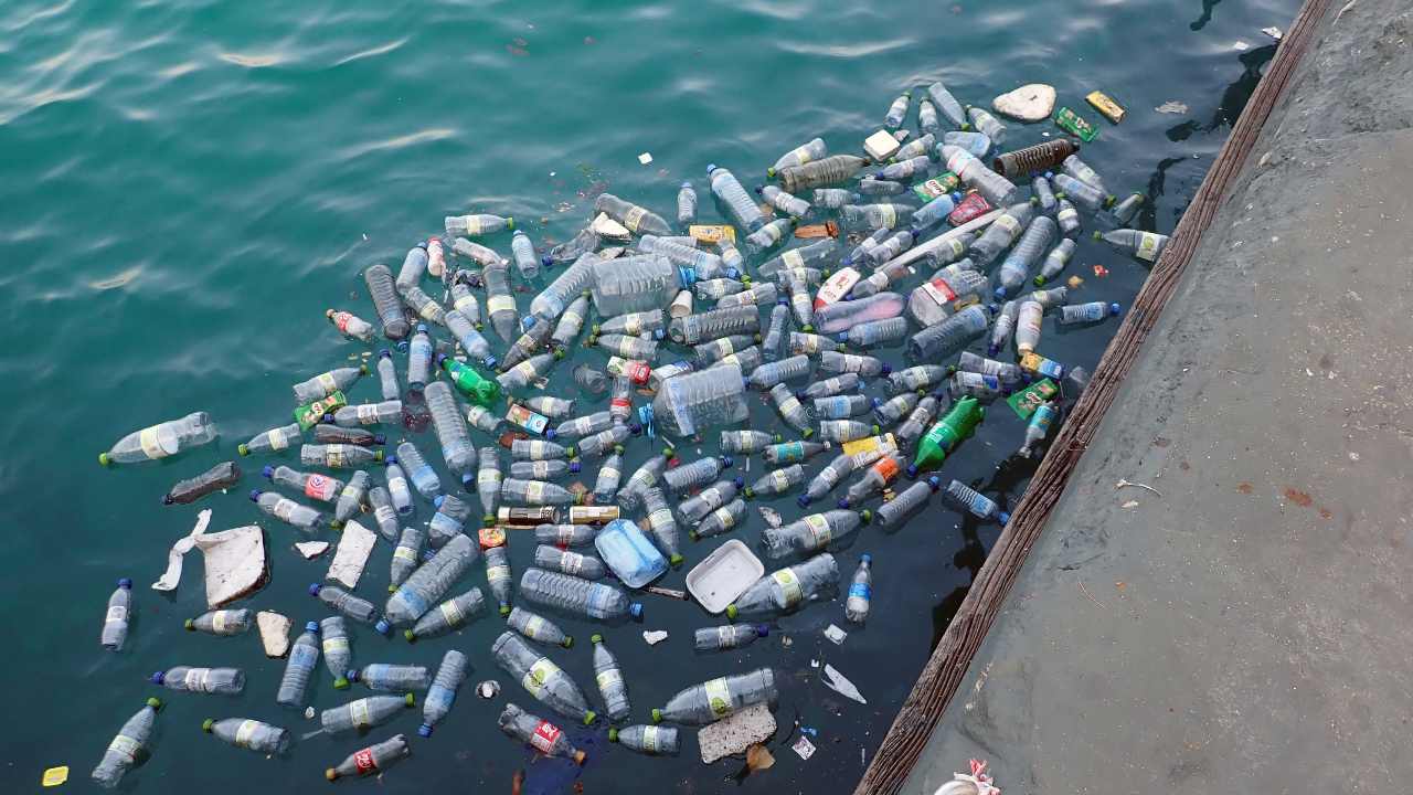 It’s been estimated that of the 8.3 billion tonnes of plastic made between 1950 to 2015, over 75 percent is now waste, with 79 percent accumulating in either landfill or the natural environment.