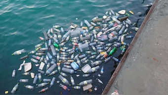 Carbon emissions will change ocean surface climate by 2100 by 95 percent: Study