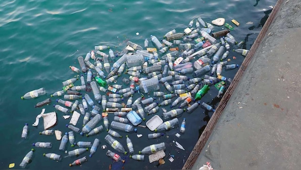 Carbon emissions will change ocean surface climate by 2100 by 95 percent: Study