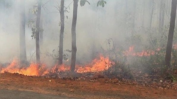 Similipal National Park forest fire ‘almost contained’, core area with wildlife not impacted by blaze