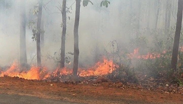 Similipal National Park fire: Odisha government says no lives have been lost, issues SOP to combat blaze Similipal National Park fire: Odisha government says no lives have been lost, issues SOP to combat blaze