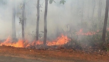 Similipal National Park forest fire ‘almost contained’, core area with wildlife not impacted by blaze