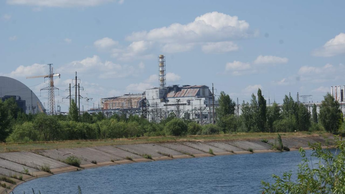 Chernobyl's toxic nuclear site presents a unique chance to protect biodiversity